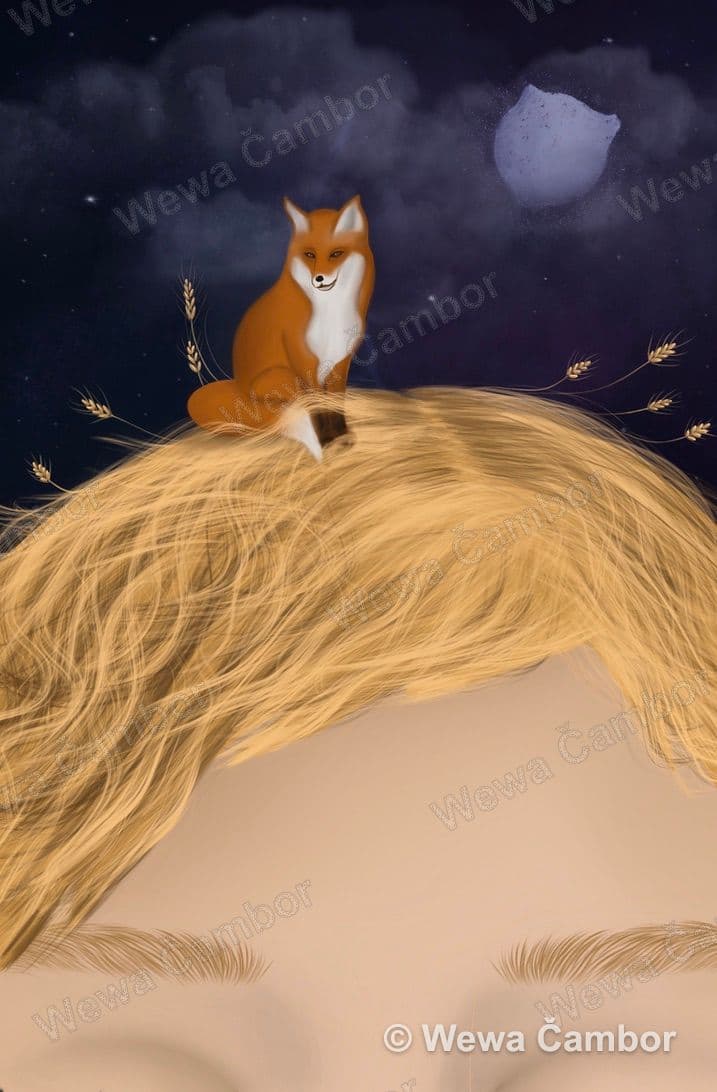 Ilustrace Malého prince
